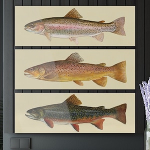 Fly Fishing Art Acrylic Trout Art Print Set