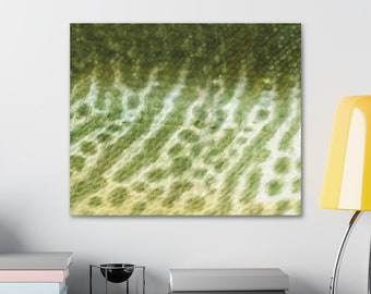 Tiger Musky Print Canvas Gallery Wrap