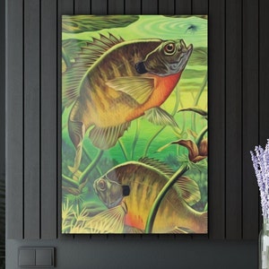 Bluegill Painting Fishing Art Acrylic Print (French Cleat Hanging)