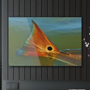 Redfish Oil Painting Acrylic Art Print