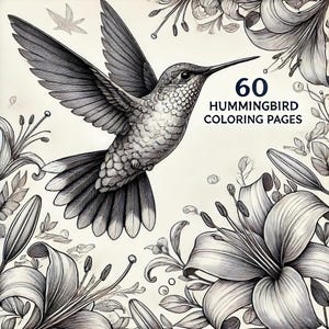 60 Kolibri-Malvorlagen im PDF-Format zum Ausdrucken für Erwachsene und Kinder – Entspannende und kreative Vogeldesigns zum Stressabbau und für lustige Aktivitäten