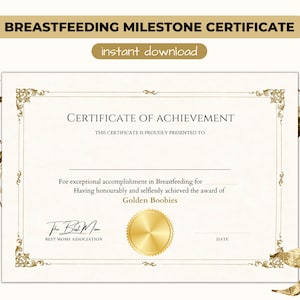 Borstvoeding Waarderingscertificaat, Cadeau voor een moeder die borstvoeding geeft, Borstvoedingsprestatie, Postpartum Cadeau, Hulpmiddelen voor lactatiekundigen