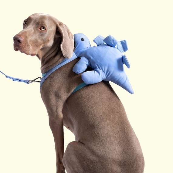Etsy dog harness online