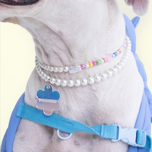 Iridescent 6 Petal Flower Dog ID Tag