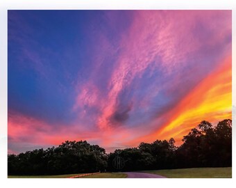 May include: A vibrant sunset sky with streaks of pink, orange, and yellow clouds over a dark green forest.