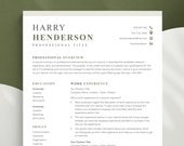 Professional Resume Template: Modern CV Design (Google Docs, Word, Pages)