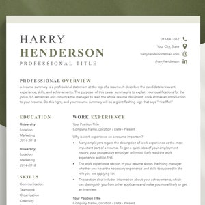 Resume Template Google Docs, Professional Resume Template for Pages, Ceo Resume Template Word, Modern Executive Creative CV Template