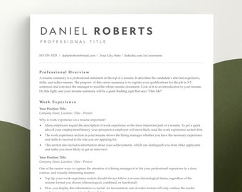 CEO Resume Template: Modern Executive Design (Word, Google Docs, Pages)