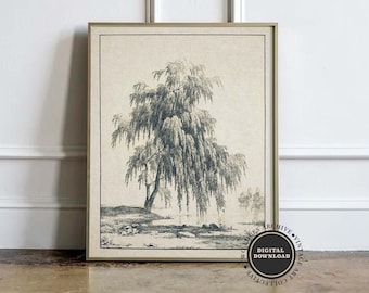 Weeping Tree | Vintage Digital Download | Tree Drawing | Antique Decor | Nature | Neutral Art | Rustic Decor | Country Art | Printable