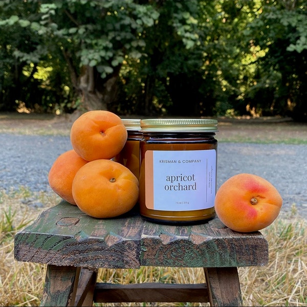 Apricot Orchard Candle, Apricot Candle, Summer Candle, Fruity Candle, Amber Jar Candle