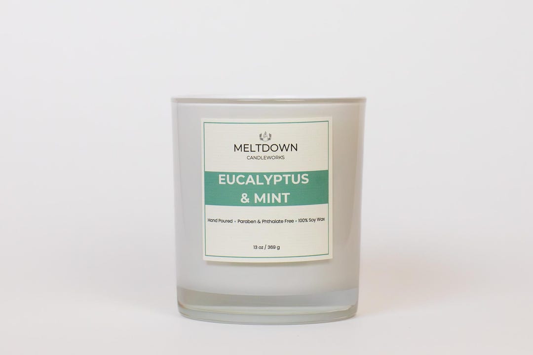 Eucalyptus & Mint Soy Candle 13oz, Nontoxic Candle, Eucalyptus Scented ...