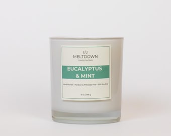 Eucalyptus & Mint Soy Candle 13oz, Nontoxic Candle, Eucalyptus Scented Candle, Amber Jar Candle, Spa Candle, Relaxing Candle