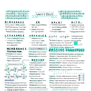 AP Biology Unit 2 Review Notes