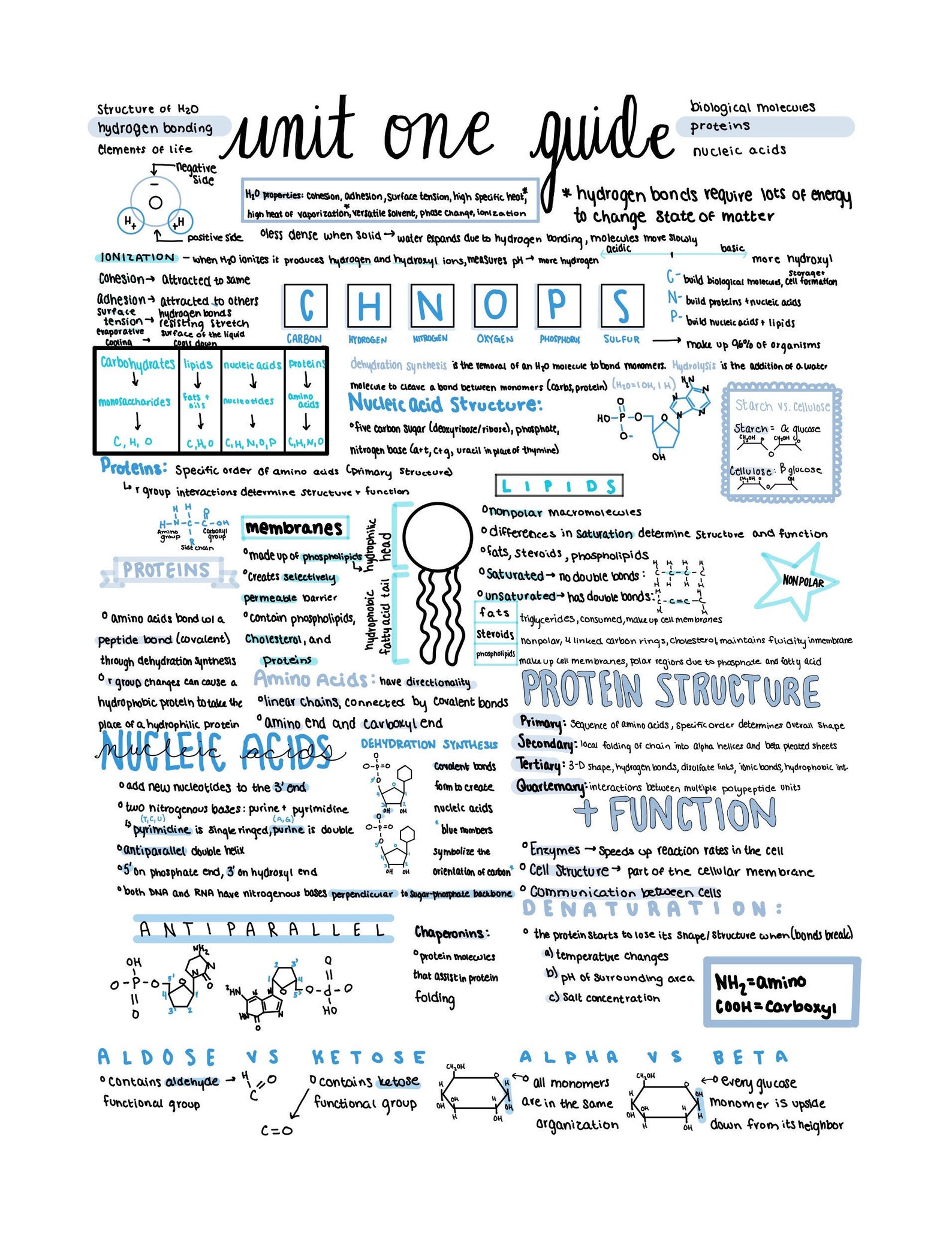 research biology notes