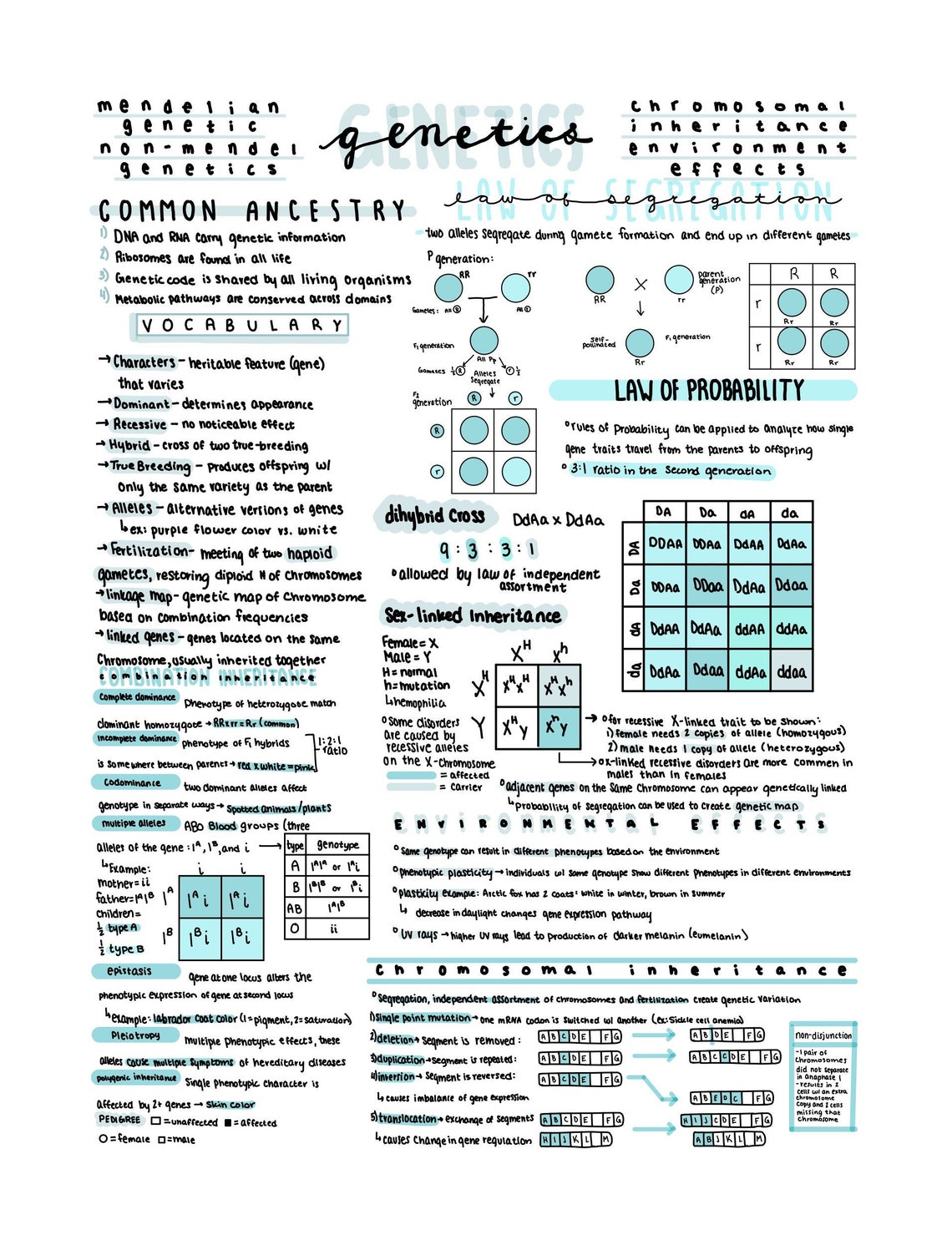 AP Biology Unit 5 Review Notes - Etsy