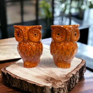 Vintage Owl Salt and Pepper Shaker Set Kitsch Kitchen Decor Gift Collector