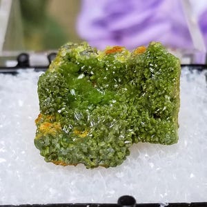 May include: A small, green, crystalline mineral specimen in a white foam display box. The mineral has a rough, textured surface and appears to be a cluster of small crystals.