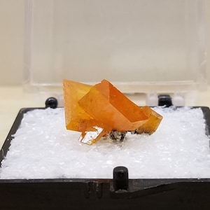 May include: A small, orange crystal cluster in a black display box with white foam padding.