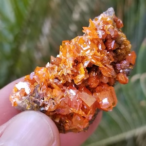 Lustrous Orange Wulfenite - Gemmy Crystals