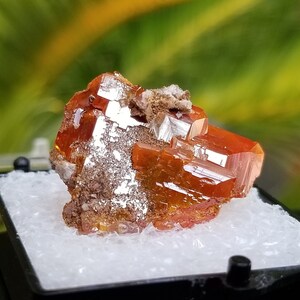 Large Red Cloud Wulfenite