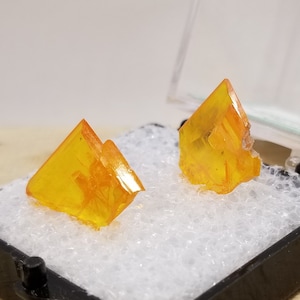 Double Wulfenite Crystals Perky Box