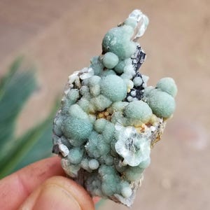 May include: A close-up of a mineral specimen featuring clusters of small, rounded, light-green formations. The mineral sits on a dark, textured base with hints of white and brown. The overall appearance is natural and organic.