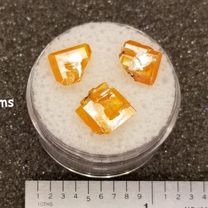 Small Wulfenite Crystals - Unmounted - Many Varieties - Wulfinite - Minerals