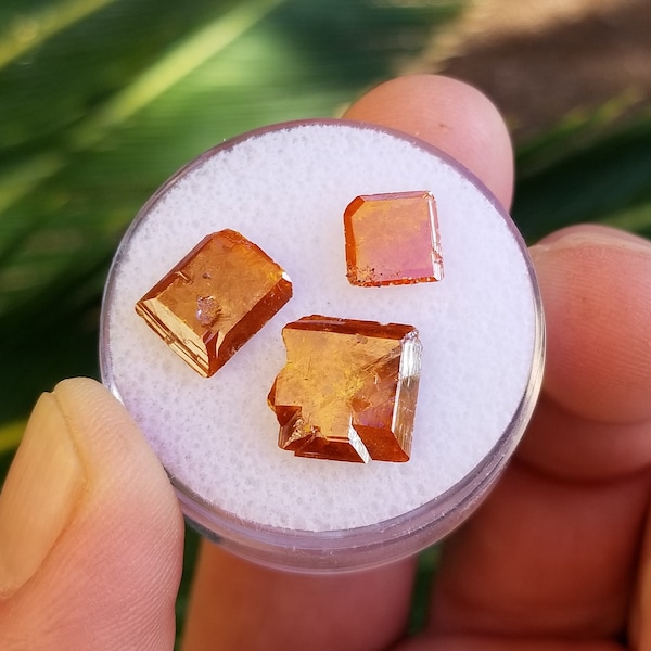 Three Red Cloud Wulfenite Crystals