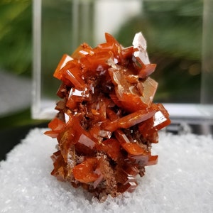 Incredible Wulfenite Cluster - Red Cloud Mine