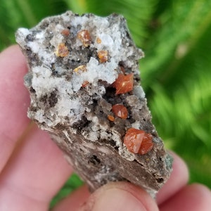 Wulfenite On Matrix - UV Reactive!