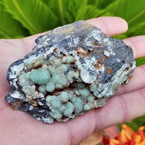 May include: A hand holding a piece of raw mineral. The mineral has a dark gray base with patches of light green, spherical formations. Some areas show white, star-like crystal structures. The mineral's surface has a rough texture.