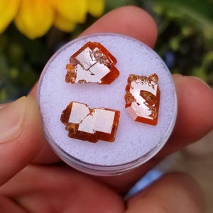 Lustrous Red Cloud Wulfenite - Large Crystals