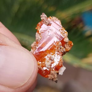 Huge Red Cloud Wulfenite Crystal