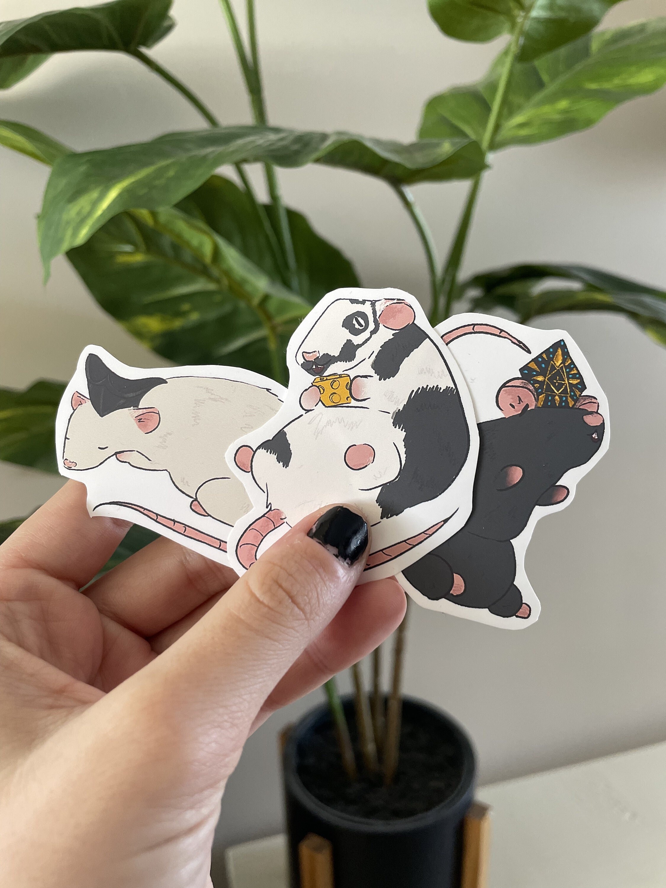 Copia's Rats Matte Vinyl Sticker Pack Etsy