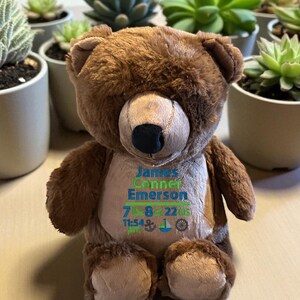 Peluche ours personnalisée, souvenir de statistiques de naissance, faire-part de naissance à la voile