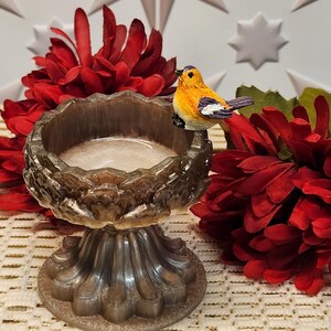 Vogeltränke