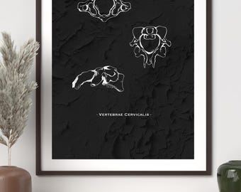 Vertebrae Anatomy Digital Art Print-Minimalist Medical Illustration-Spine Wall Art- Instant Download