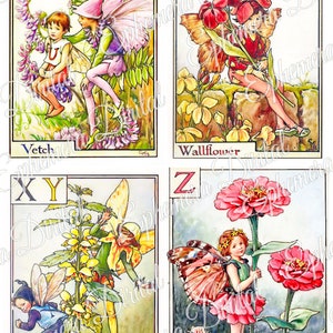 May include: A set of alphabet cards featuring fairies and flowers. Each card has a letter of the alphabet, a fairy with wings, and a flower. The flowers include Vetch, Wallflower, Yellow Deadnettle, and Zinnia.