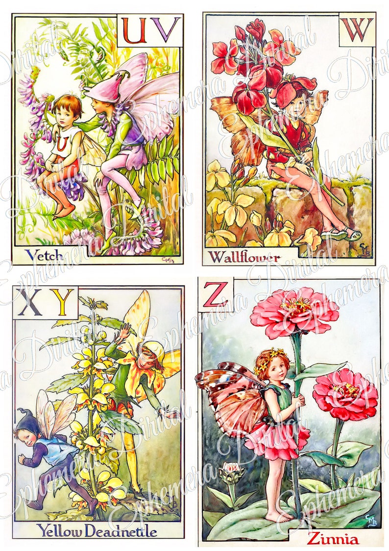 May include: A set of alphabet cards featuring fairies and flowers. Each card has a letter of the alphabet, a fairy with wings, and a flower. The flowers include Vetch, Wallflower, Yellow Deadnettle, and Zinnia.
