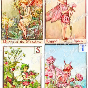 May include: A vintage illustration of four flower fairies from the alphabet book 'Flower Fairies of the  Alphabet' by Cicely Mary Barker. Each fairy is depicted with a letter and a flower. The fairies are dressed in colorful gowns and have wings. The flowers are Queen of the Meadow, Ragged Robin, Strawberry, and Thrift.