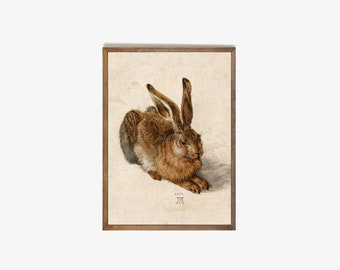 Printable image Hare Albrecht Dürer 1502 9 sizes from A2 to A6 300 dpi