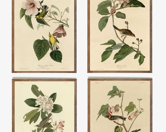 May include: Set of four vintage botanical illustrations featuring birds and flowers. Each print features a different bird species perched on a branch with blooming flowers. The prints are in a muted color palette with shades of green, brown, pink, and yellow.