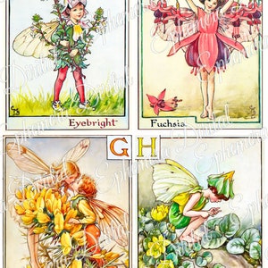 May include: Four vintage illustrations of fairies and flowers from an alphabet book. Each illustration features a fairy with wings and a flower. The letters E, F, G, and H are displayed in the top corners of each illustration. The flowers are Eyebright, Fuchsia, Gorse, and Herb Twopence.