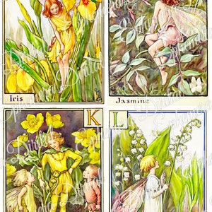 May include: Four illustrations of fairies and flowers from a children's book. The illustrations are in a vintage style and feature a fairy with wings and a flower. The flowers are Iris, Jasmine, Kingcup, and Lily-of-the-Valley. The letters I, J, K, and L are in the top corners of each illustration.