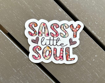 May include: A white sticker with the words "SASSY little SOUL" in a mix of fonts and patterns. The word "SASSY" has a floral and leopard print design. The word "SOUL" has a floral design. Two leopard print hearts are on the sticker.