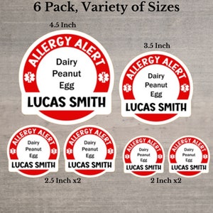 Allergy Alert Customizable 6, 5, OR 12 Label Bundle |  Waterproof Water Bottle, Lunchbox Stickers | Various Sizes Available