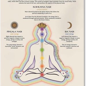 May include: An illustration of the subtle body, a concept in yoga and spirituality, showing the seven chakras, the energy centers in the body, and the three nadis, or energy channels, that connect them. The illustration is set against a background of rainbow colors and includes the text "THE SUBTLE BODY", "SUSHUMNA NADI", "PINGALA NADI", "IDA NADI", and "KOSHAS".