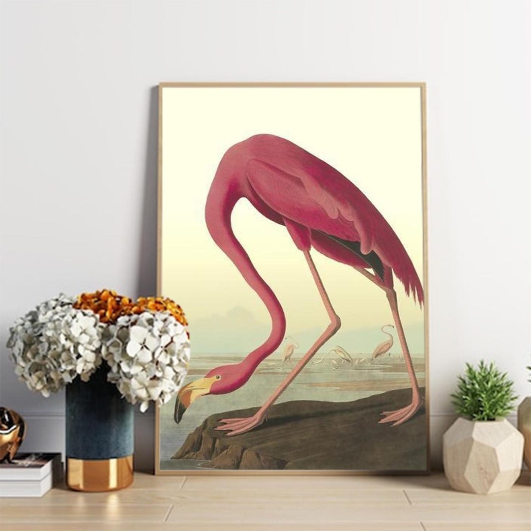thumbnail interactive-video image 1 of Flamingo Print Poster – A4 Unframed Wall Art – Gloss Photo Paper – Home Decor Gift 1 of 2