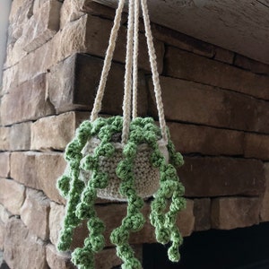 Crocheted Hanging Plant