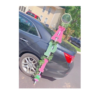 Può includere: Uno striscione di lettere rosa e verde che scrive "API" è attaccato a un palo bianco con una ghirlanda verde. Il palo è attaccato alla parte posteriore di un'auto nera.